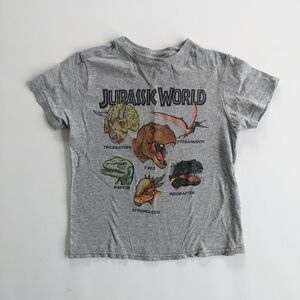 Gray Short Sleeve Tee with Dinosaur Graphics